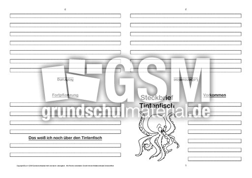 Tintenfisch-Faltbuch-vierseitig.pdf